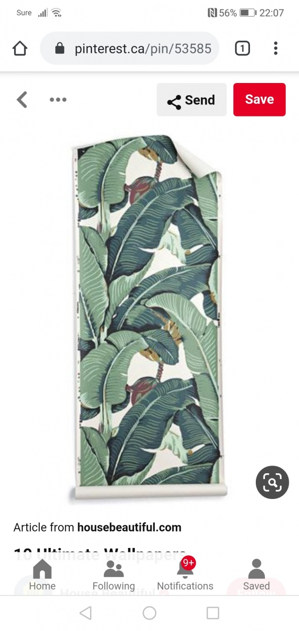 Palm Leaf