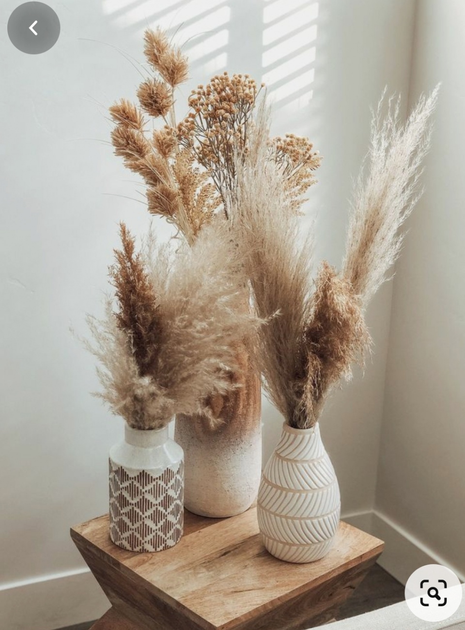Pampas