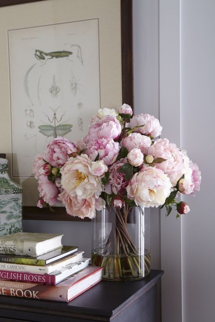 Peony in vase