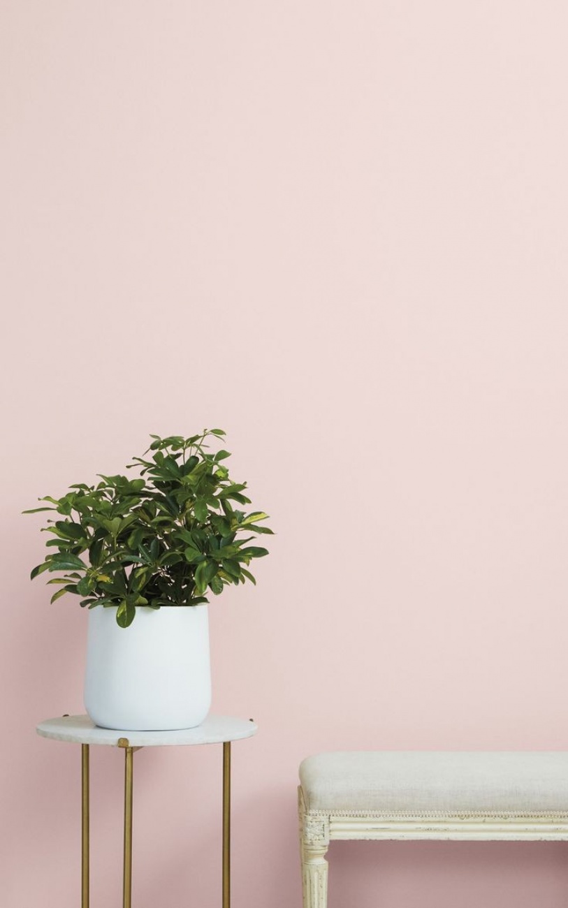 Pink wall
