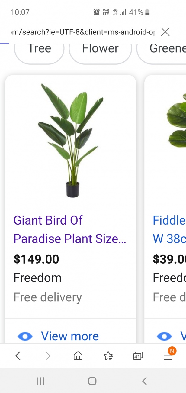 Plant