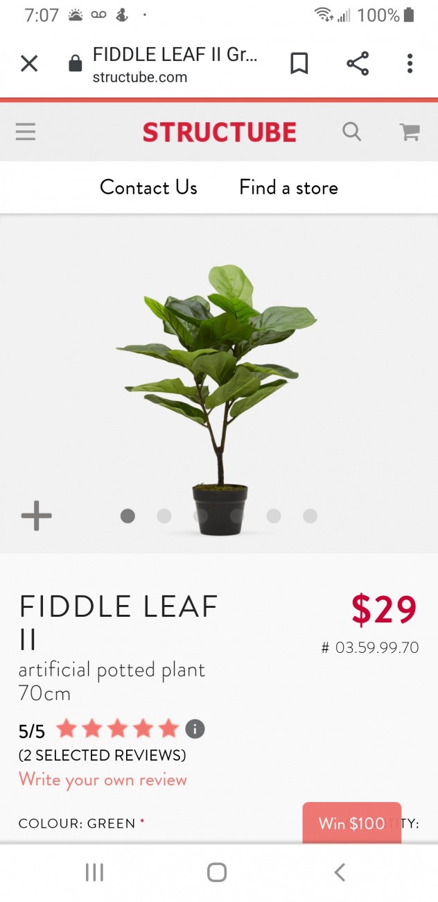 Plant