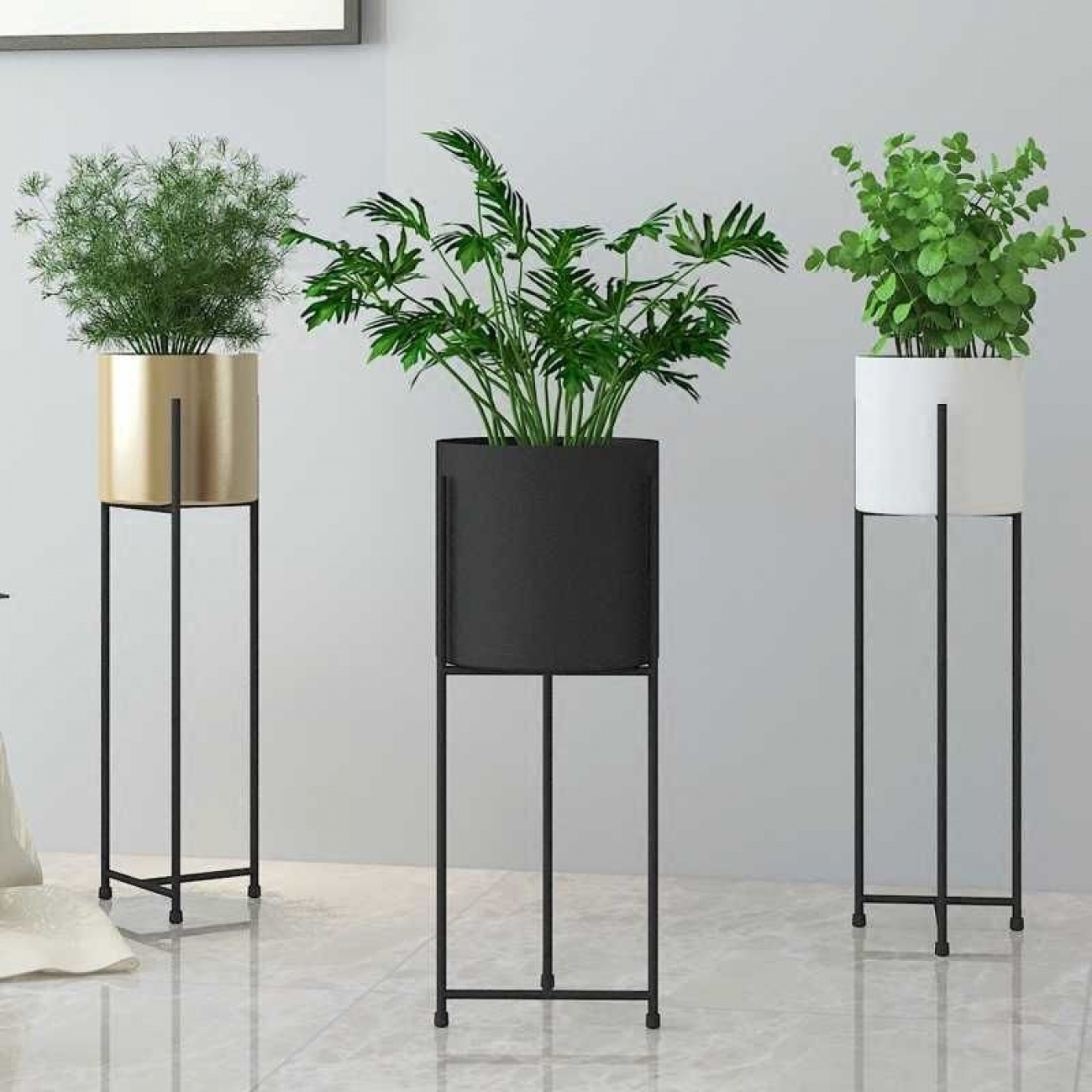 Planta