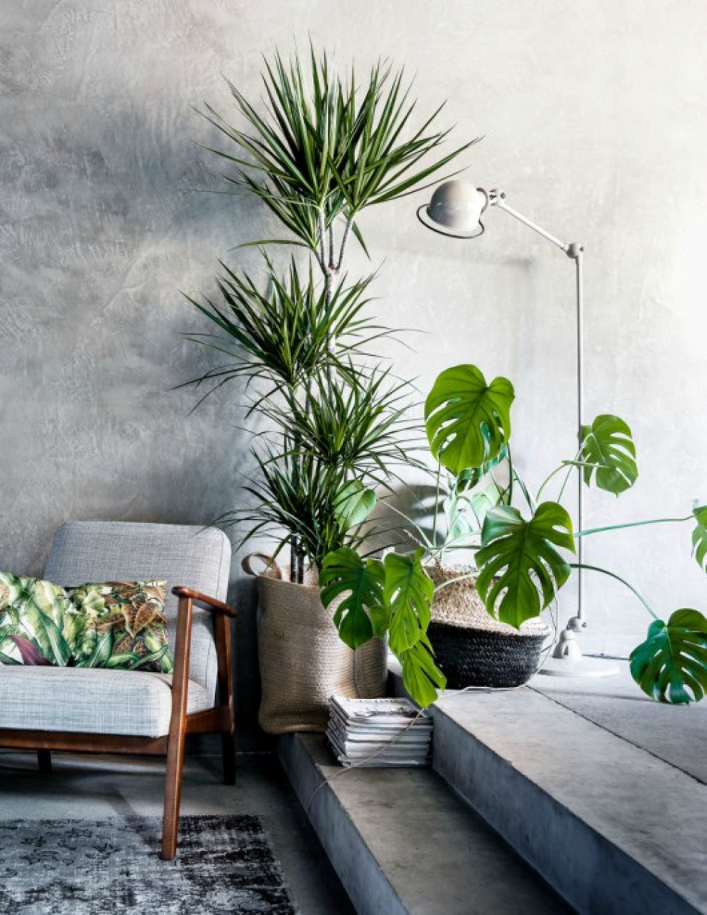 Plantenmanden