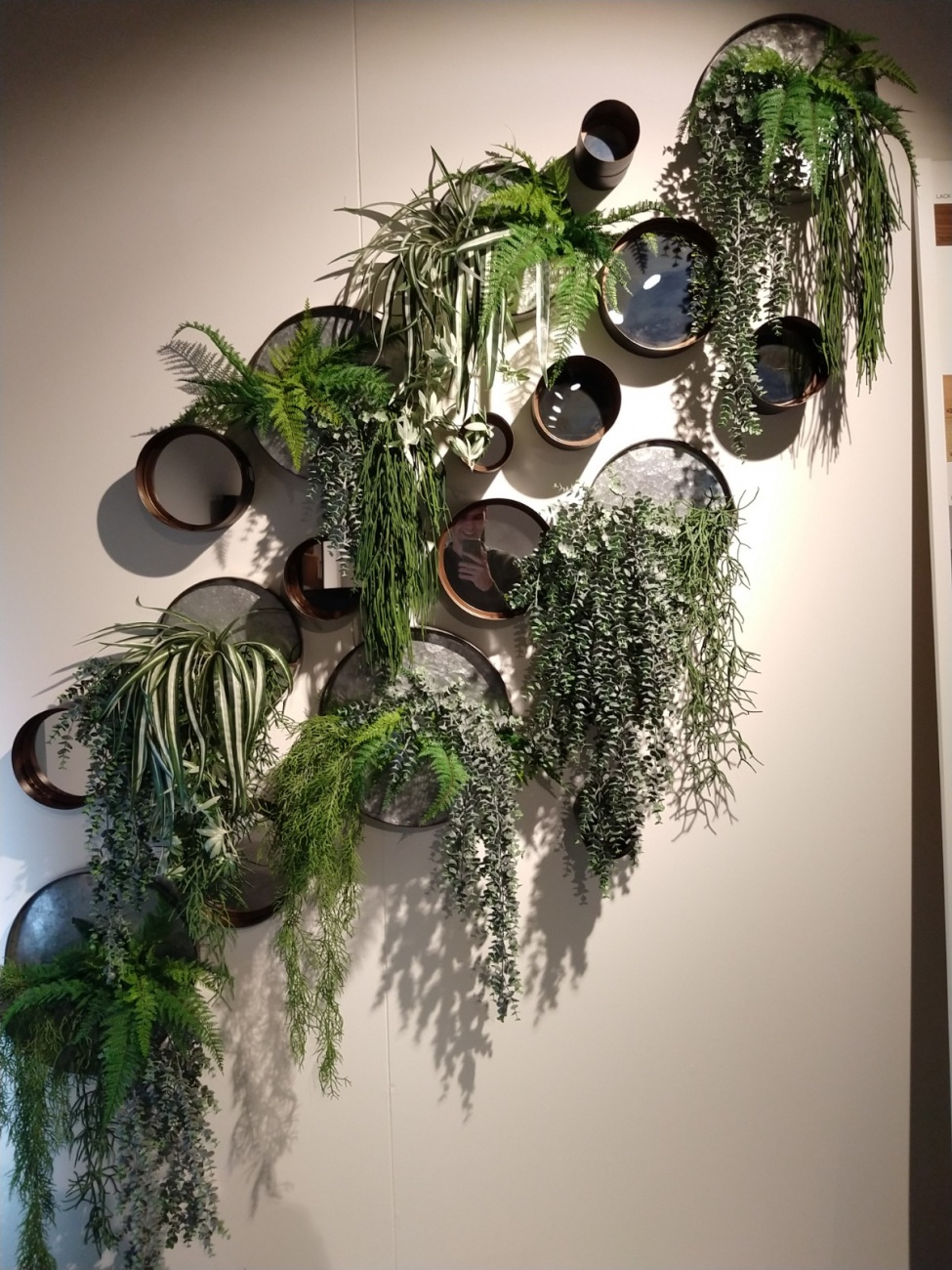 Planten wand decoratie