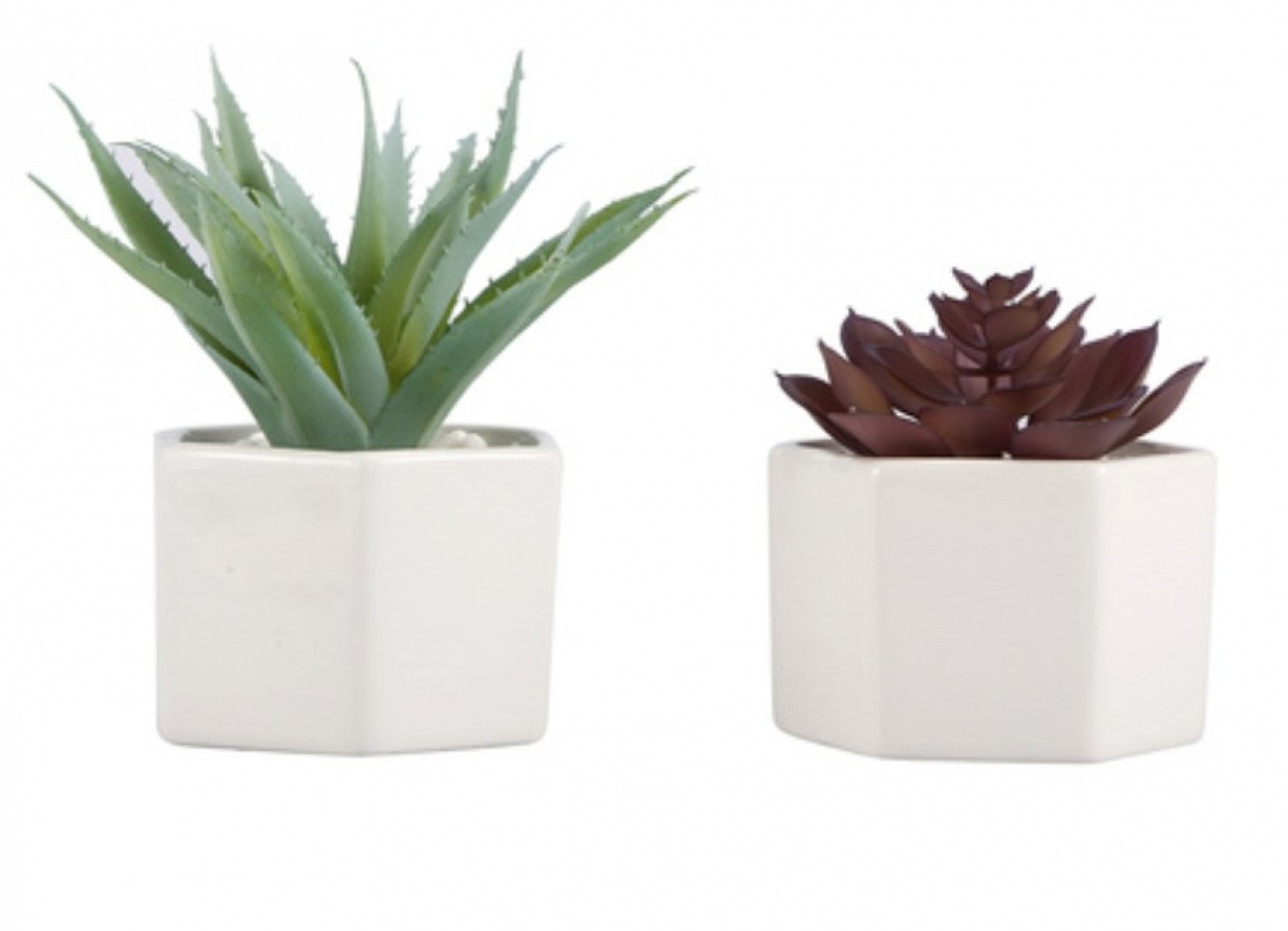 Planters