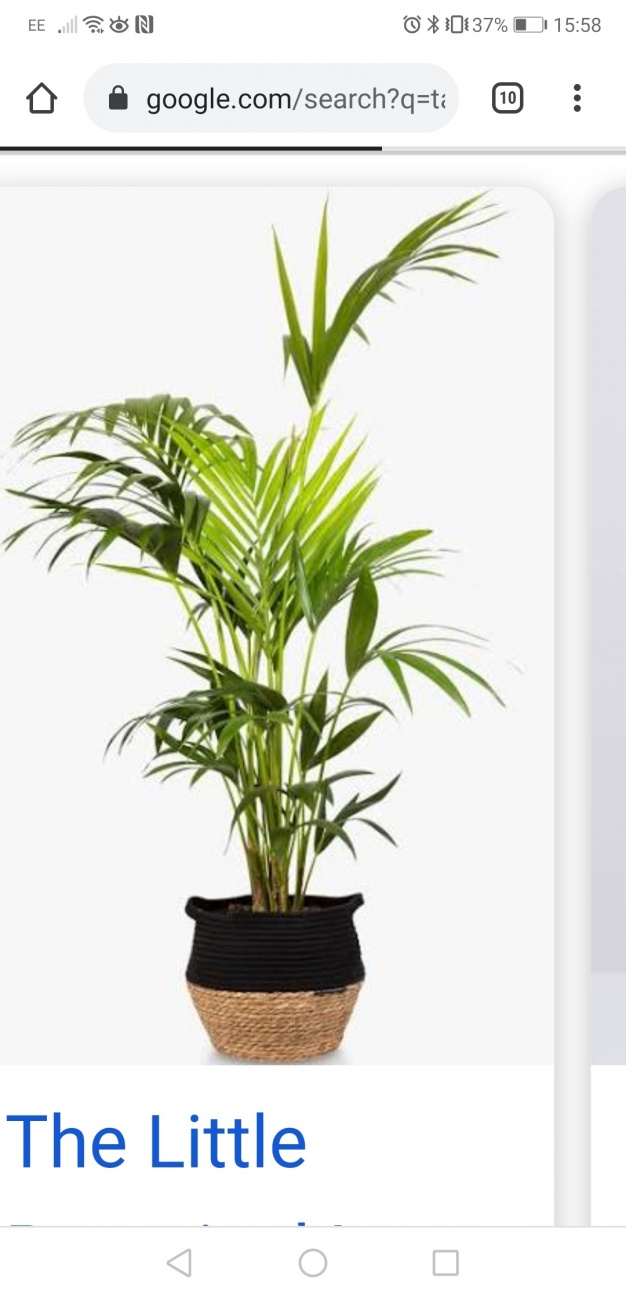 Plants