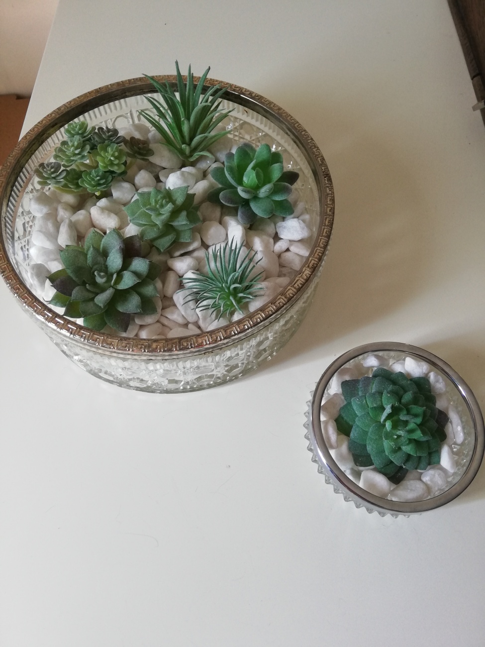 Plants