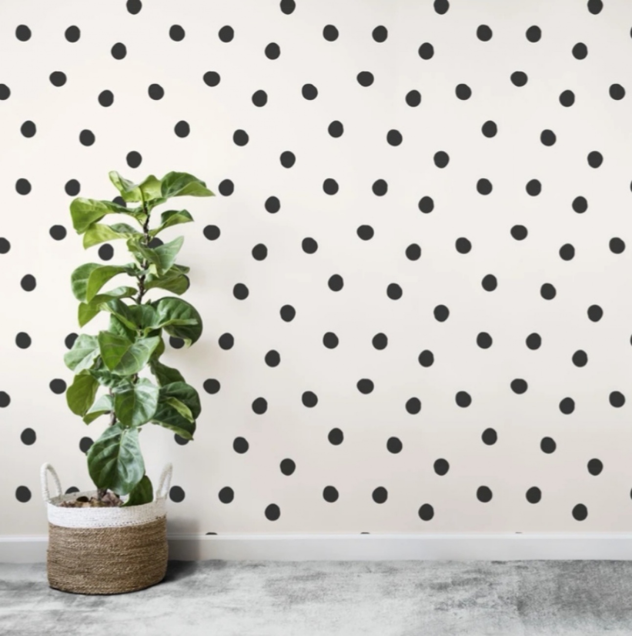 Polka dot wall