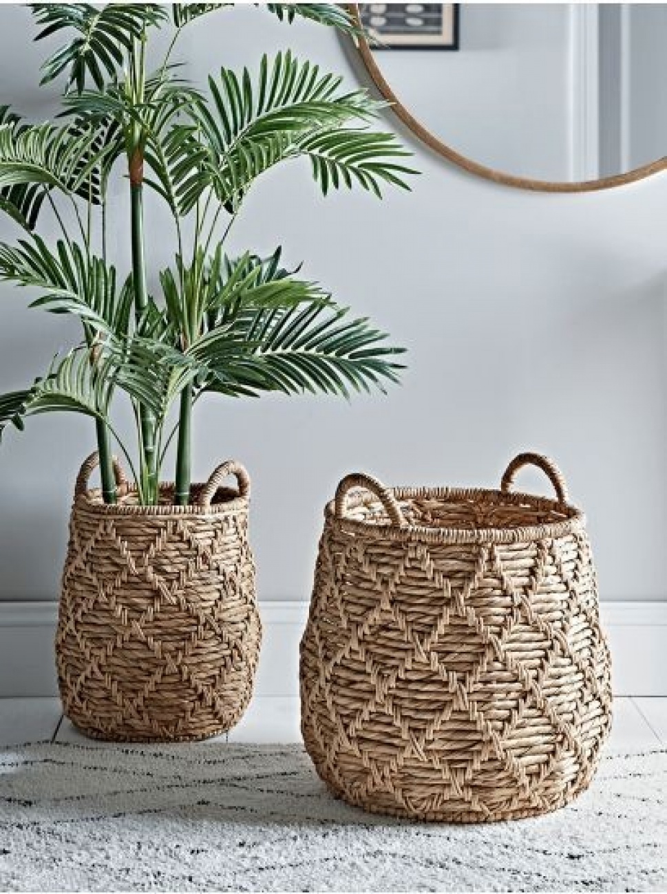 Pot plants