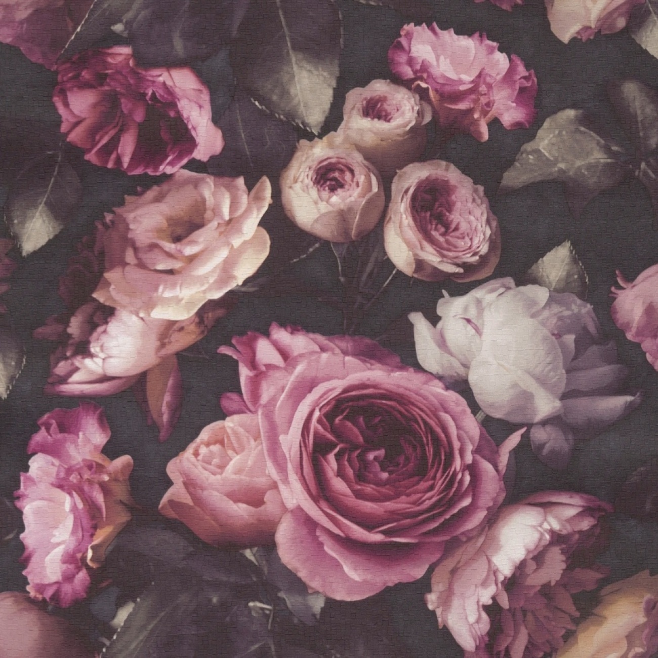 Rose wallpaper 