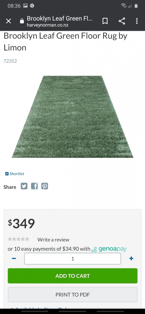Rug