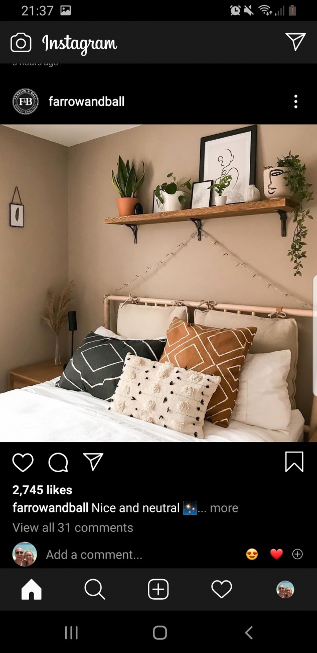 Shelves 