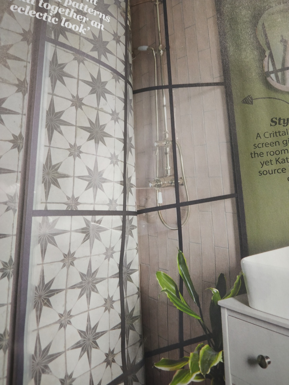 Shower screen