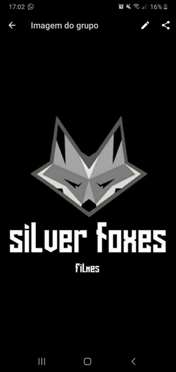 Silver Foxes 
