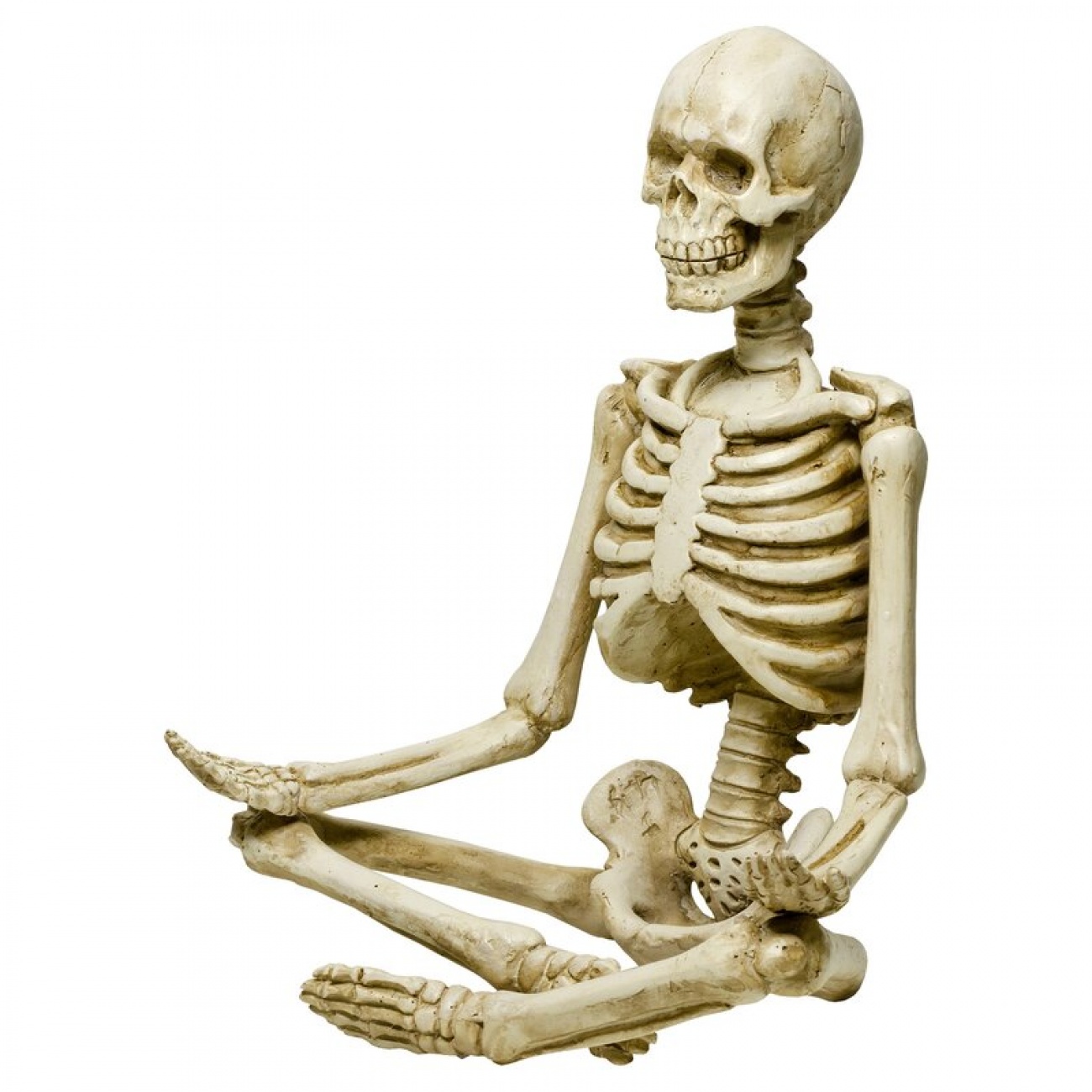 Skeleton