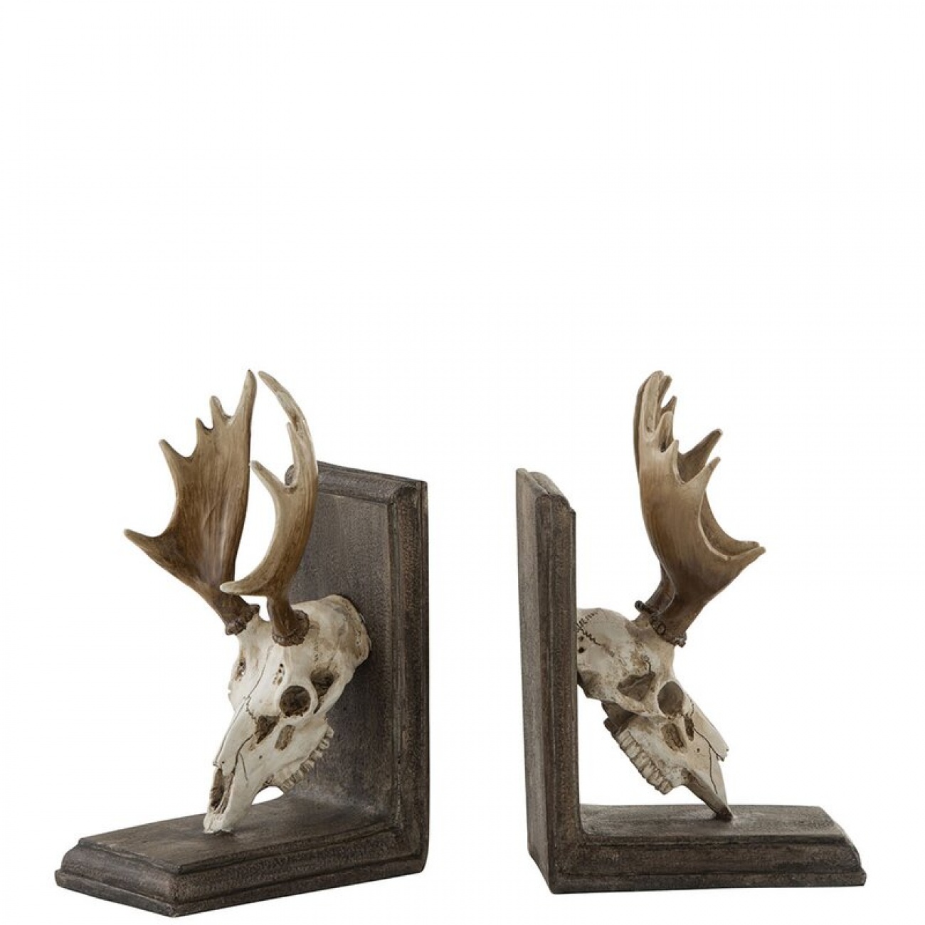 Skull bookends