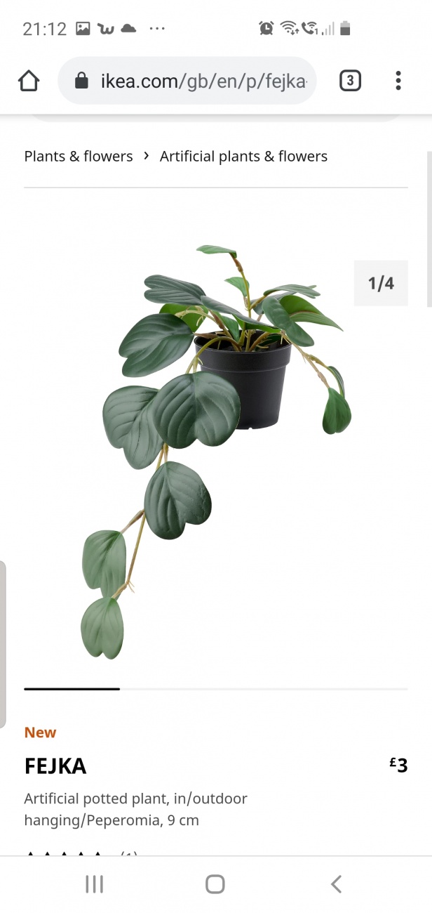 Small plant