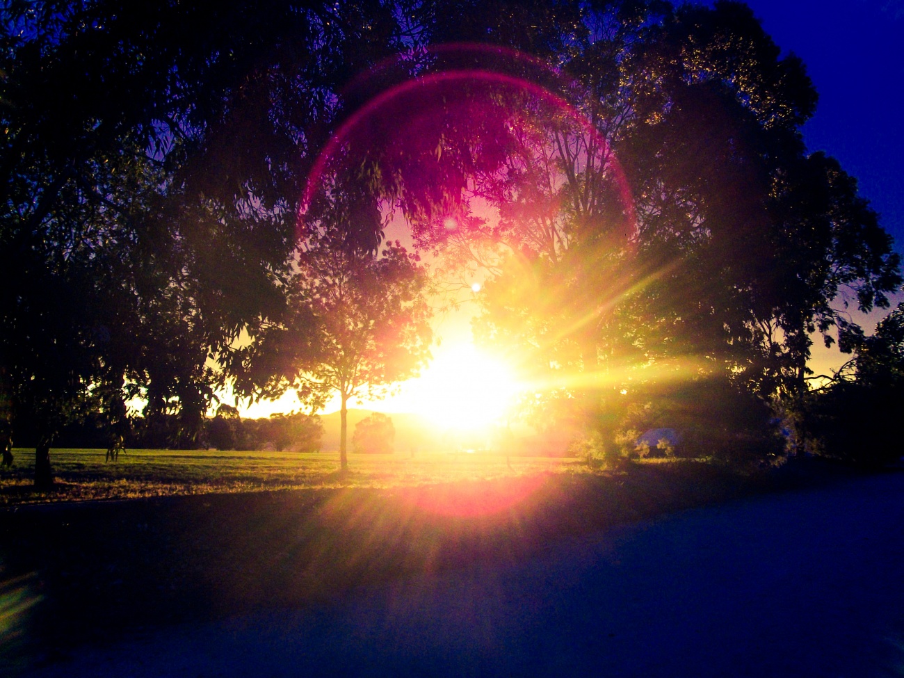 Sunset