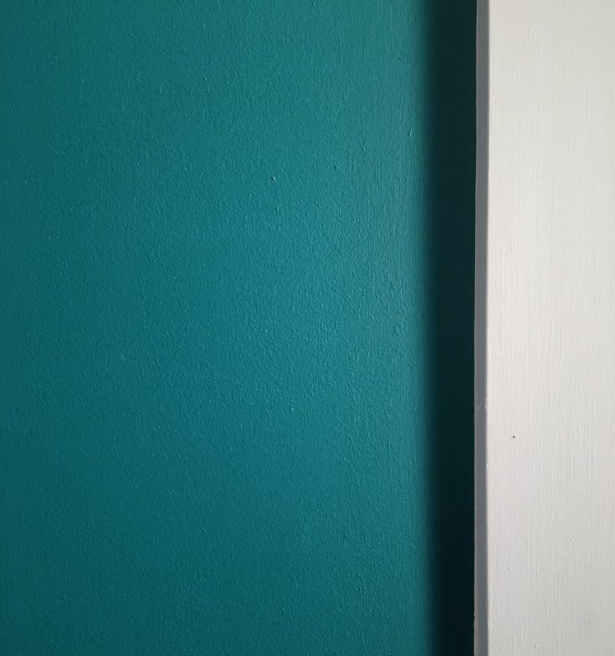 Teal walls