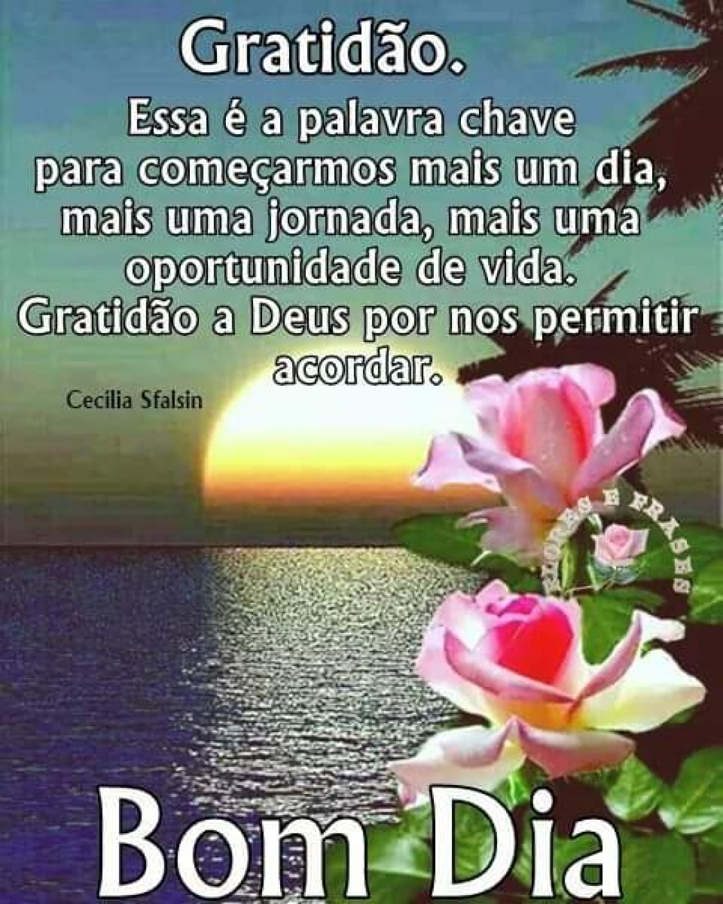 Teste 