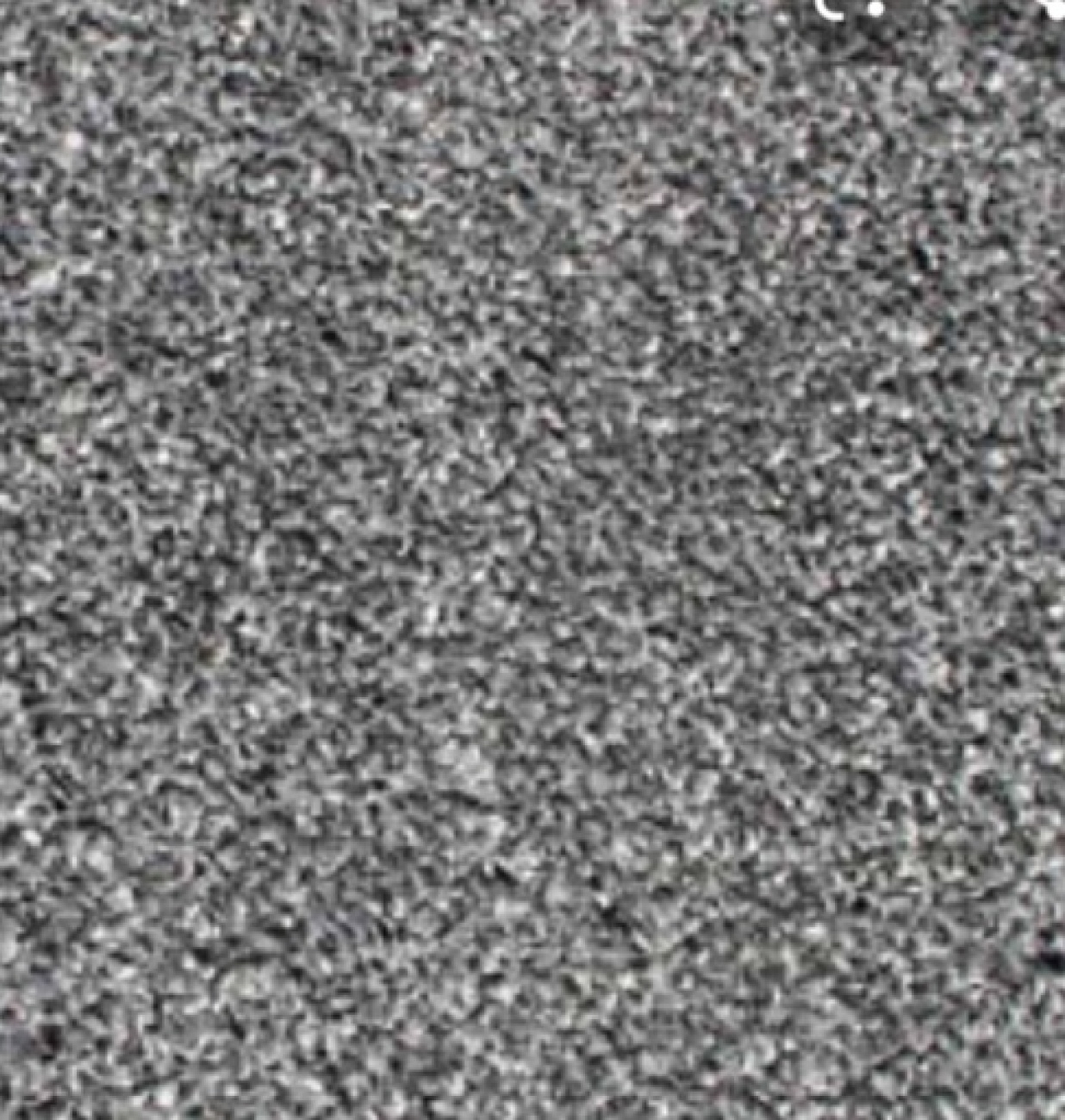 The colour of the carpet (dark grey)