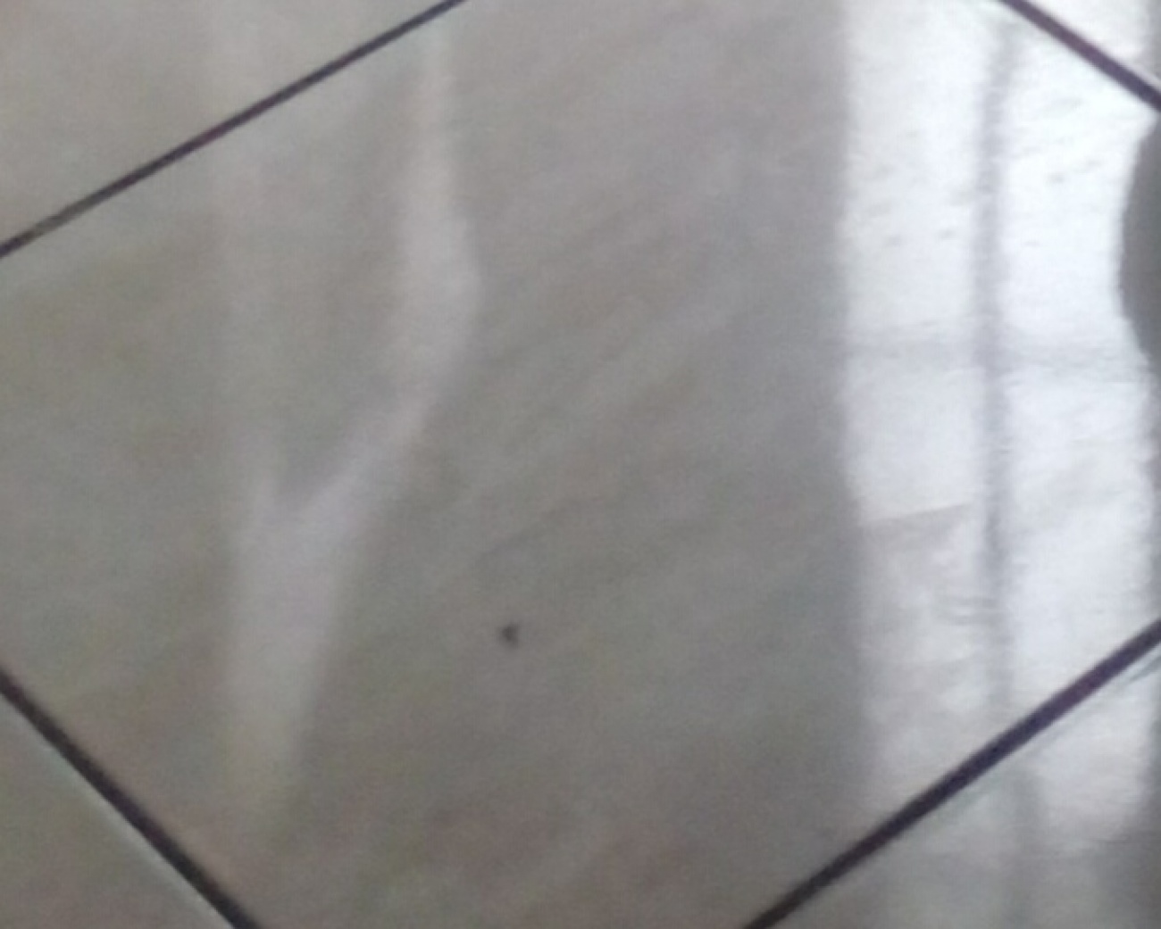 Tile