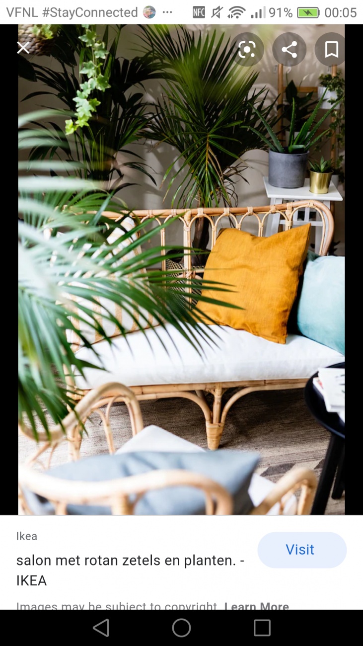 Tropical 