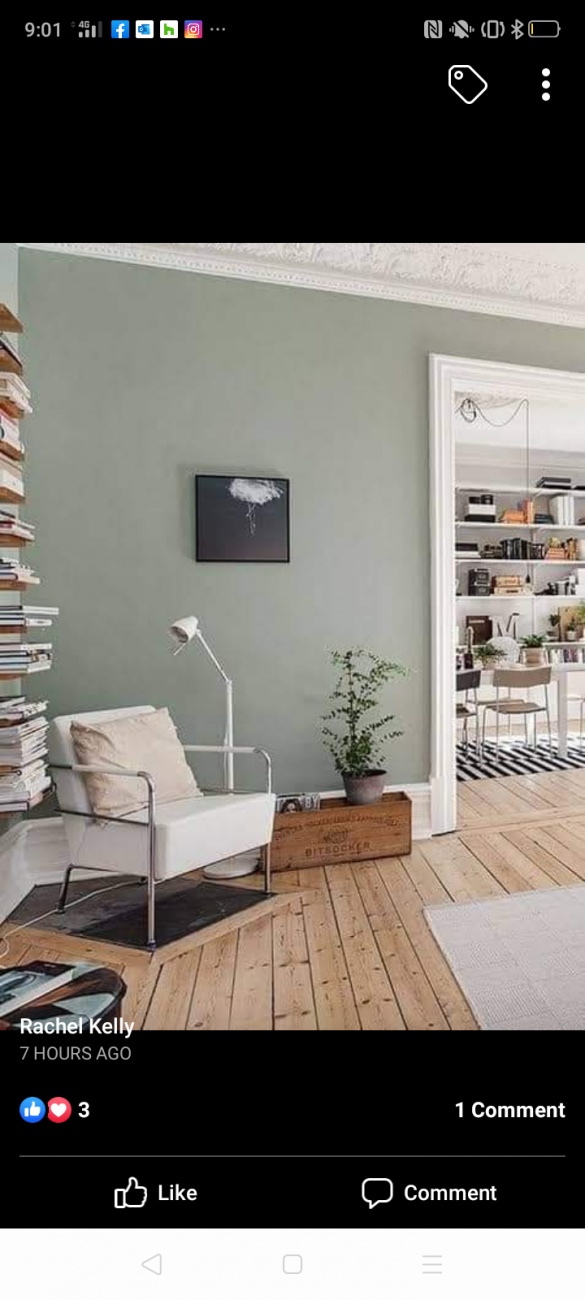 Wall colour