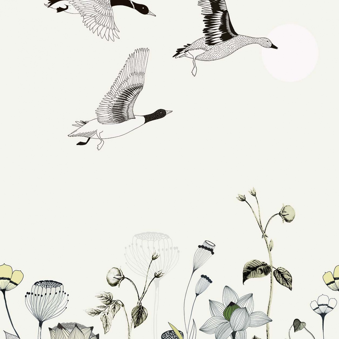 Wallpaper