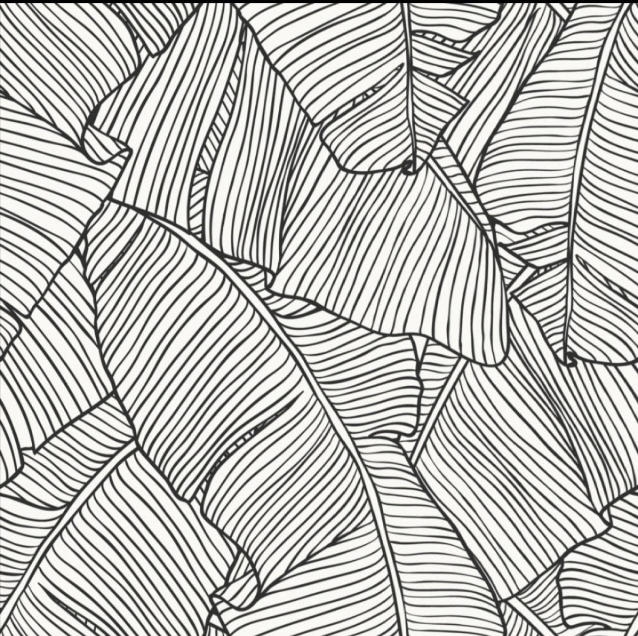 Wall paper for feature wall