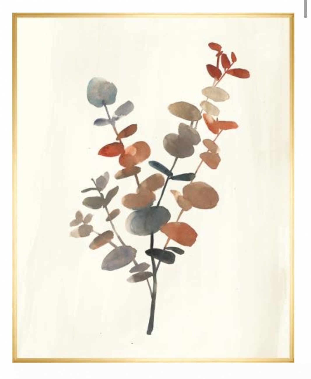 Watercolor eucalyptus 